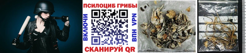 Галлюциногенные грибы мицелий  Мураши 
